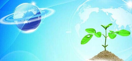 萍乡樟平软件公司 以技术创新驱动企业数字化转型的先行者